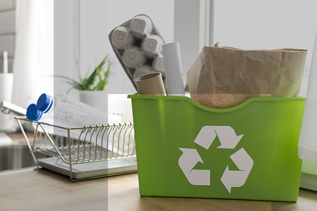 Raccolta differenziata aziendale: obblighi e vantaggi per le imprese _ Ecospecial