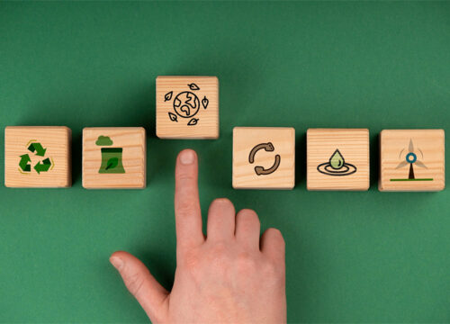 Gestione del RENTRI diventa semplice con Ecospecial Srl