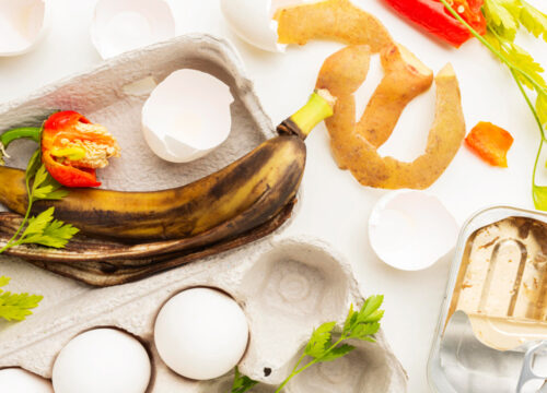 Rifiuti alimentari e oli esausti da ristorazione: sicurezza e sostenibilità